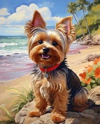 Norimpex Maľovanie podľa čísel Yorkshire na pláži 40 × 50 cm
