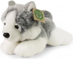 plyšový husky ležiaci 20 cm eco friendly