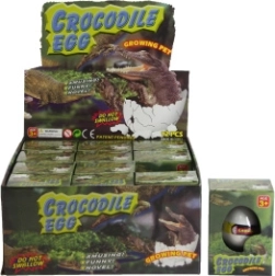 Vajíčko s rastúcim krokodílom do vody