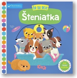 Čo sa deje – šteniatka