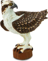 Safari Ltd. figúrka morský orol