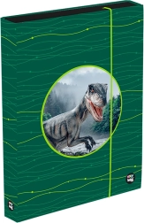 Box na zošity A4 Jumbo OXY Sherpy zelený