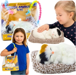 Spiaca mačička na vankúšiku s mäkkou srsťou a zvukmi mňaukania v prenosnej taštičke