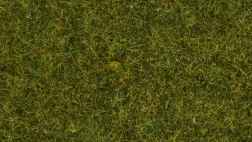 Statická tráva Noch divoká lúka, 9 mm