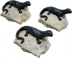 Dekorácia jašterica - sada 3 ks