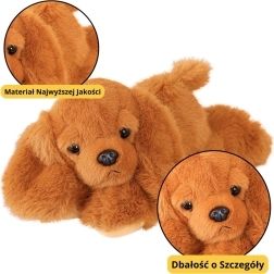 Plyšový pes Cocker Spaniel s váženými labkami hnedý 30cm
