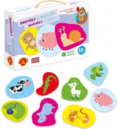 Alexander poznávanie pre najmenších – kartičky farbičky