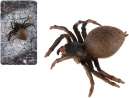 Antistresový silikónový pavúk 10 cm