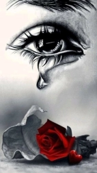 Diamantové maľovanie Plač nad ružou 30 × 40 cm