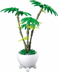 Sluban kvetina v kvetináči – zelená palma