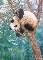 Puzzle Zlaté dieťa 1000 dielikov Cobble Hill