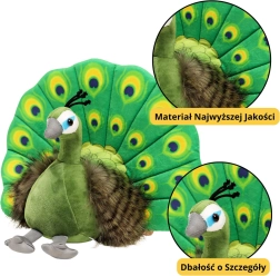 Plyšová hračka Elegantný Páv zelený 30 cm