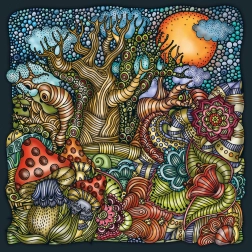 Štvorcové puzzle CURIOSI Palapeli: Zázračný les, 210 dielikov