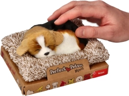 Štekajúci bígl na pelechu