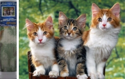 Diamantové maľovanie Mačky 30x40 cm