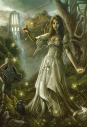 Puzzle Will o' the Wisp 1000 dielikov