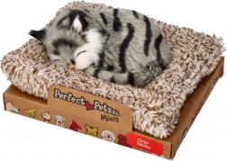 Perfect Petzzz malý sivý tigrí kocúrik