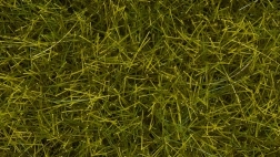 Noch statická tráva divoká lúka 12 mm