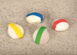 Čarovná mušľa Goki