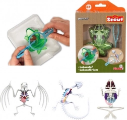 Mini laboratórium pitvy – žaba, mlok alebo netopier