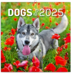 Nástenný poznámkový kalendár Psy 2025 30 × 30 cm