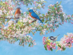 Puzzle Kvetinový festival XL 275 dielikov od Cobble Hill