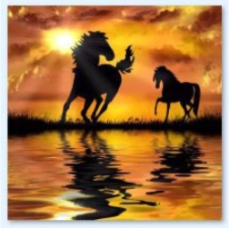 Diamantová mozaika (diamond painting) Kone – západ slnka 30 × 30 cm - 1 kus