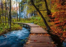 Puzzle RAVENSBURGER Tajomný les 1000 dielikov