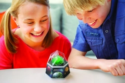 Zelené kryštály 4M – vzdelávacia sada na pestovanie kryštálov