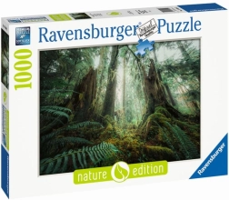 Puzzle 1000 dielikov Lesy Ravensburger