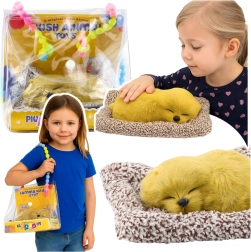 Spiaci labrador na vankúšiku s mäkkým kožúškom a zvukmi