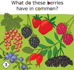 Yummy! vzdelávacia hra o zdravom stravovaní pre deti od 3 rokov