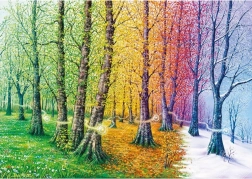 Puzzle Vlákna života 1000 dielikov MAGNOLIA