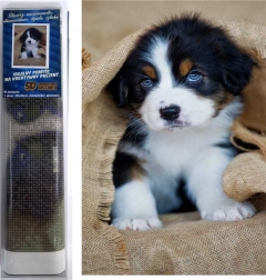 diamantové maľovanie šteniatko bernského salašníckeho psa 30 × 40 cm