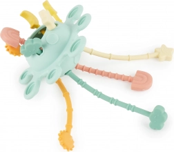 Silikónová motorická hračka s aktivitami Eucalyptus