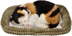 Dýchajúce trojfarebné mačiatko na peliešku