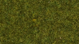 Statická tráva Louka 4 mm