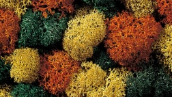 Dekoračný mach Herbst od Noch