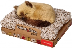 Perfect Petzzz malé siamské mačiatko