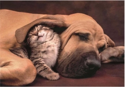 Puzzle Mazlenie 500 dielikov