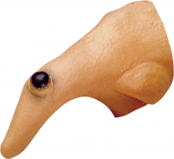 Čarodejnícky nos s bradavicou