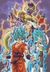 Puzzle 300 prvkov Dragon Ball