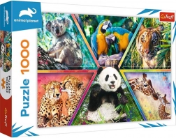 Puzzle 1000 dielikov – kráľovstvo zvierat ANIMAL PLANET