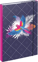 Dosky na školské zošity A4 Papagáj