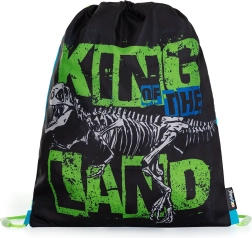 Vrecko na prezuvky Premium dinosaurus