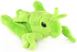 Plyšová lúčna kobylka