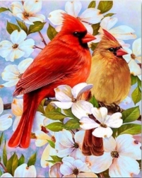 Diamantové maľovanie vtáčiky na konári 30 × 40 cm