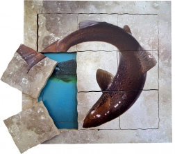 Just Jigsaws Losos a jeho životný cyklus - drevené vrstvené puzzle