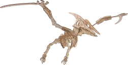 Woodcraft drevené 3D puzzle pterosaurus
