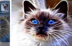 Diamantové maľovanie Mačacia mágia 30 × 40 cm